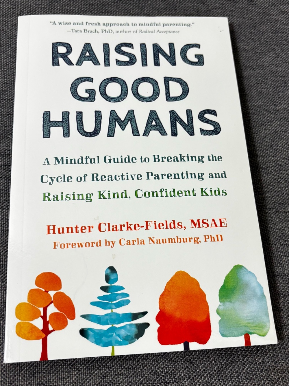 Raising Good Humans by Hunter Clarke-Fields Paperback New